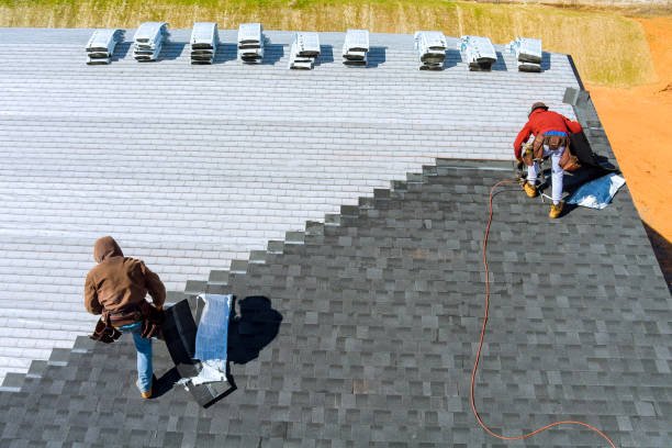 Best Commercial Roofing Services  in Lake Summerset, IL