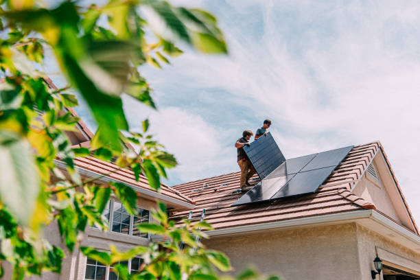 Best Roof Gutter Cleaning  in Lake Summerset, IL