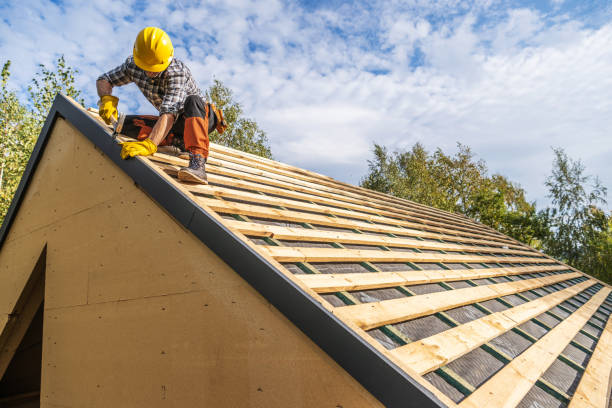 Roof Gutter Cleaning in Lake Summerset, IL