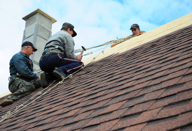 Quick and Trustworthy Emergency Roof Repair Services in Lake Summerset, IL